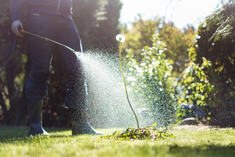 Cost of Lawn and Yard Care — Cost of Lawn and Yard Care