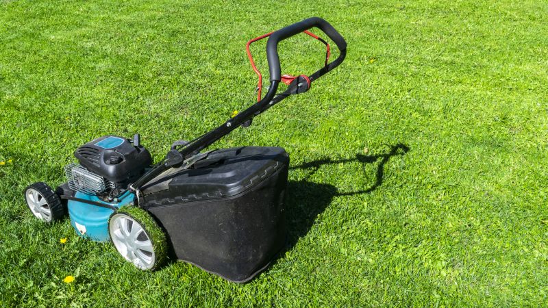 Accessibility & Comfort