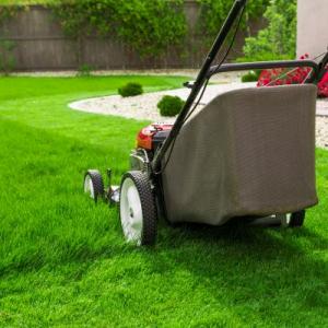 Lakeland Lawn Service